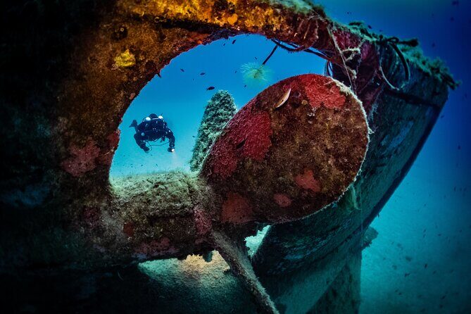 2 Scuba Fun Dives for Certified divers in St Paul's Bay - Key highlights at a glance