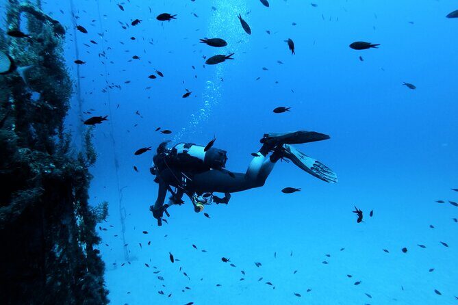 2 Scuba Fun Dives for Certified divers in St Paul's Bay - St Paul’s Bay: why this area works so well for certified divers