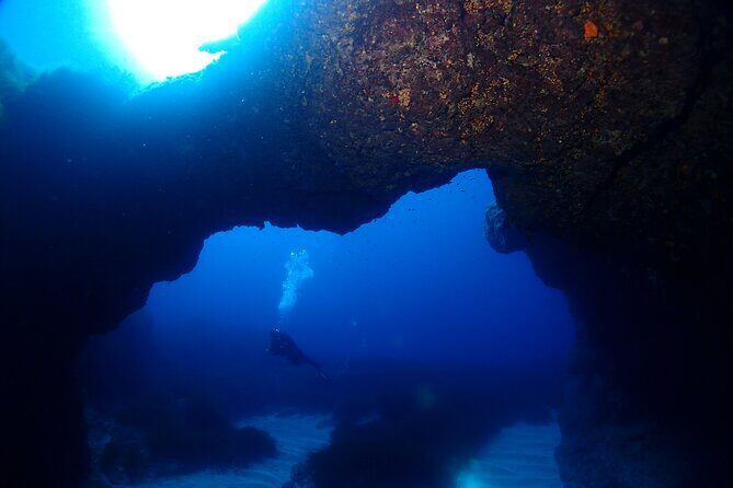 2 Scuba Fun Dives for Certified divers in St Paul's Bay - Health rules you should not ignore before booking