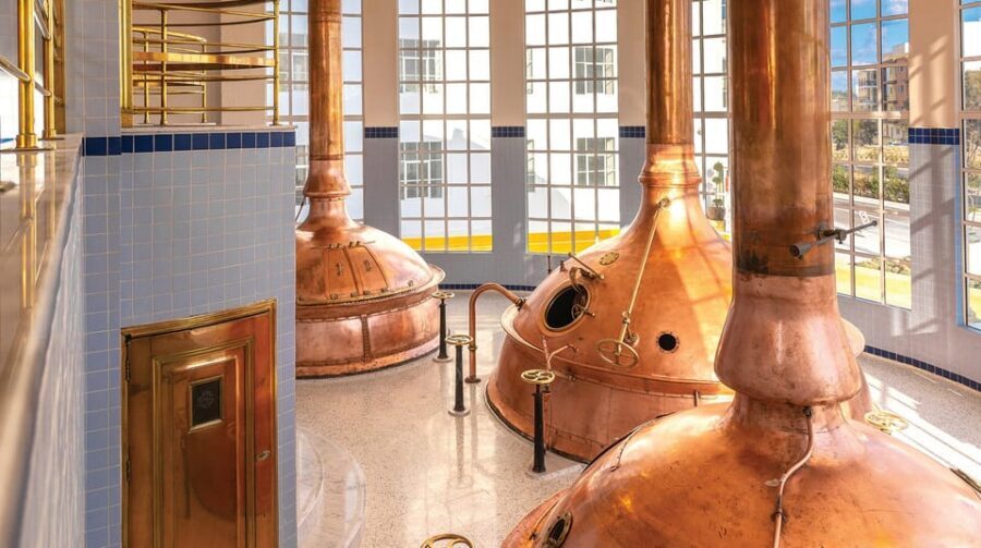 Brewery Experience with Beer Tasting and Optional Transport - Who this is best for (and who should skip it)