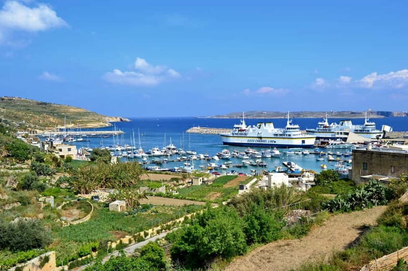 Comino & Gozo: Blue & Crystal Lagoons Cruise with Sea Caves - Blue Lagoon: the main event, with a QR code requirement
