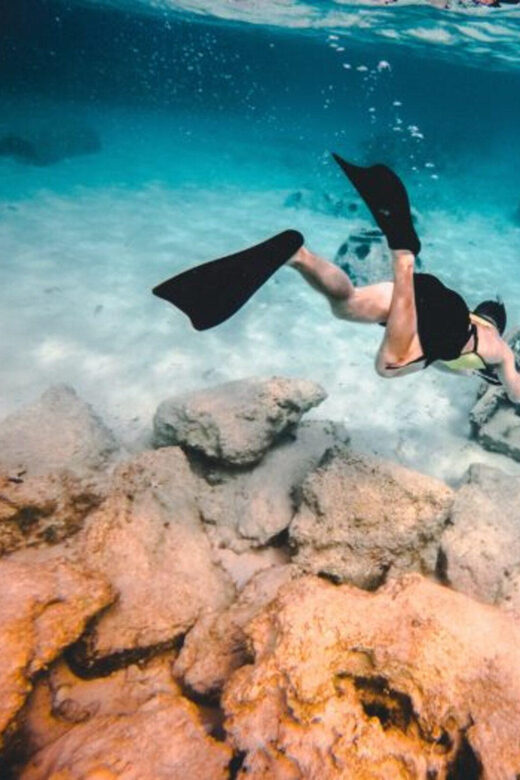 DiveSnap Underwater Sports Thrills:Lantern Point & P31 Wreck - Key moments that make this charter worth your time