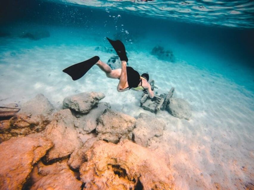 DiveSnap Underwater Sports Thrills:Lantern Point & P31 Wreck - Gozo and the Malta coastline: snack time for your eyes