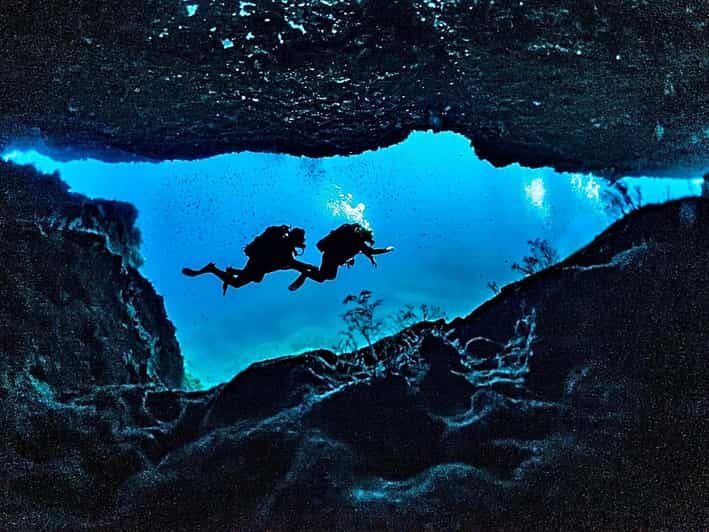 DiveSnap Underwater Sports Thrills:Lantern Point & P31 Wreck - What’s actually included (and what you should bring)