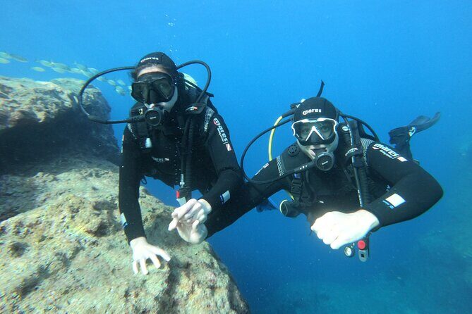 Diving experience in Malta - Weather, Fitness, and Who This Suits Best