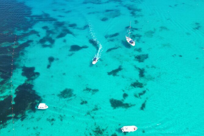 Family Private Boat Trip, Blue Lagoon, Malta, Comino & Gozo - Crystal Lagoon and Coral Lagoon: When the Snorkel Gear Gets Used