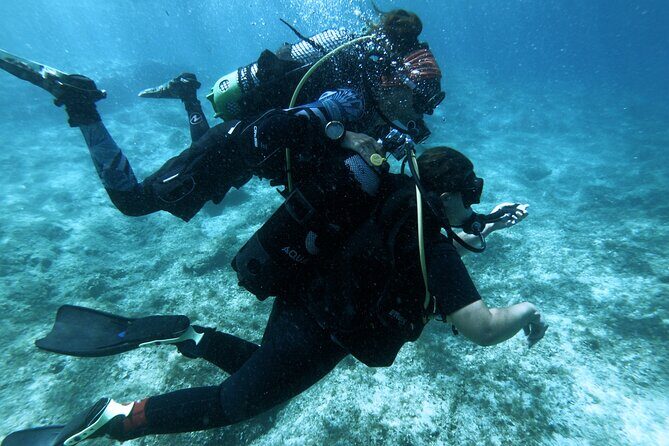 First Experience Scuba Diving - Who this try-scuba suits best (and who should think twice)