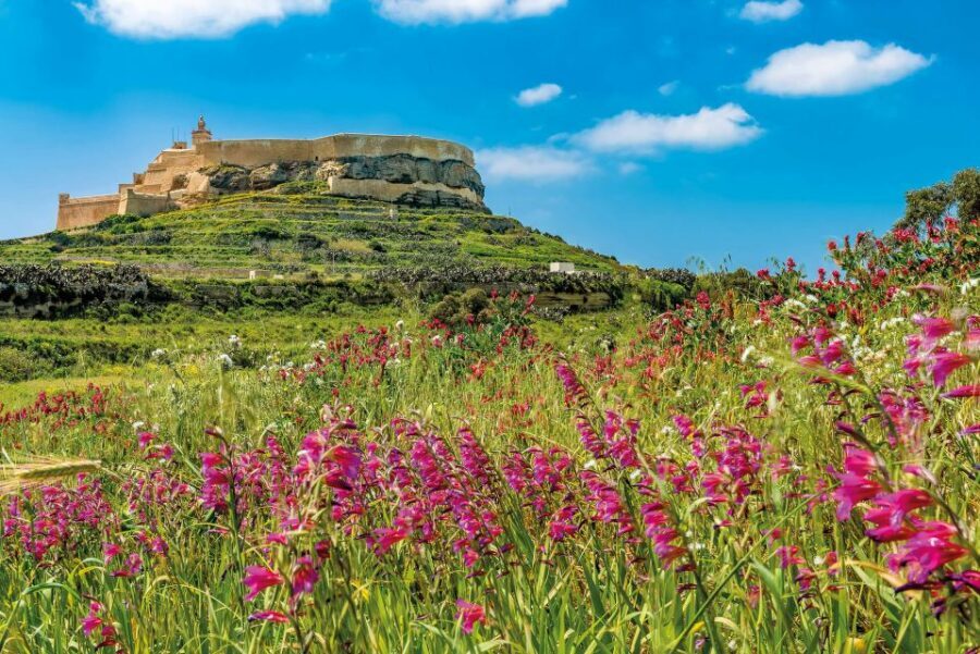 From Malta: Gozo Day Trip Including Ggantija Temples - Dwejra and the Inland Sea: Tunnel Views and Optional Boats
