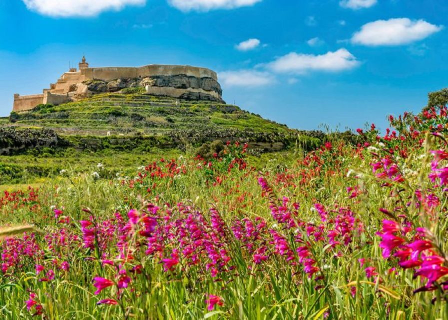 From Malta: Gozo Full-Day Tour with Guide, Temples, & Train - Ggantija Temples: the Neolithic stop that really earns the hype