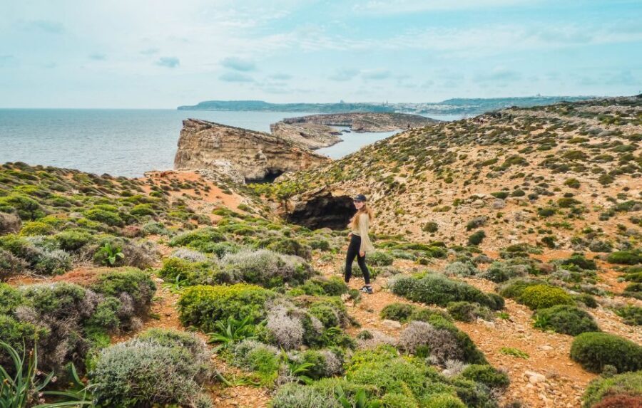 From Sliema: Comino Island and Blue Lagoon Cruise - Who This Cruise Suits Best (and Who Might Hate It)