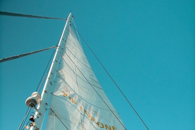 Full-Day Catamaran Cruise with Lunch in Island of Malta - Tip Top One Catamaran: what the boat does for your day