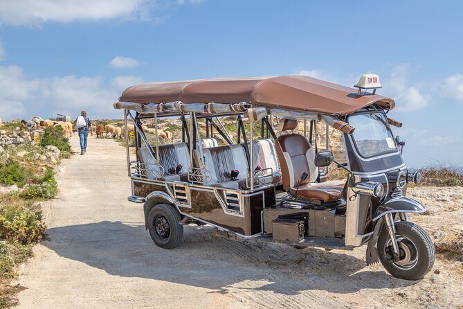 Gozo All Inclusive Chauffeured Tuk Tuk Day Tour - Blue Lagoon - Tuk-tuks around Gozo: group size, comfort, and why guides make or break it