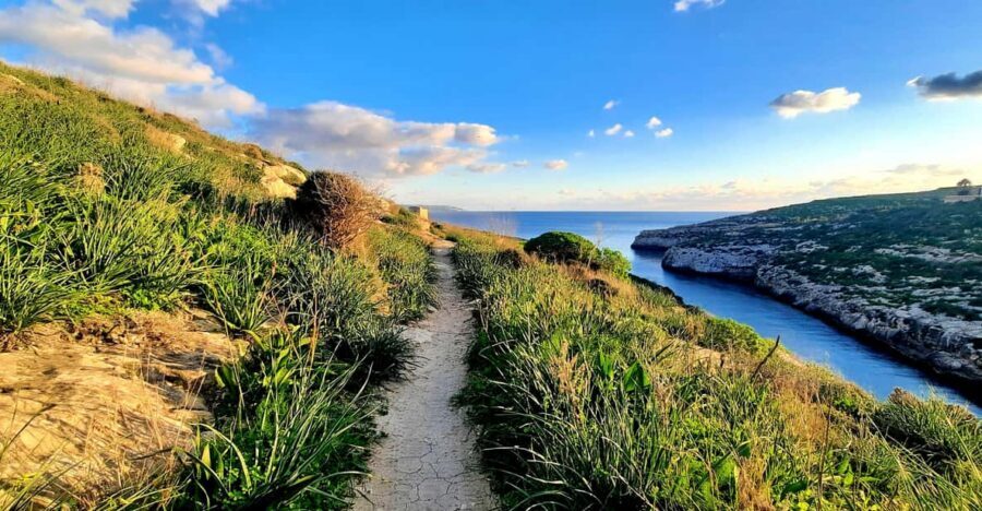 Gozo Unveiled: Guided Hiking in Gozo - South East - Pacing, group size, and who will enjoy it most