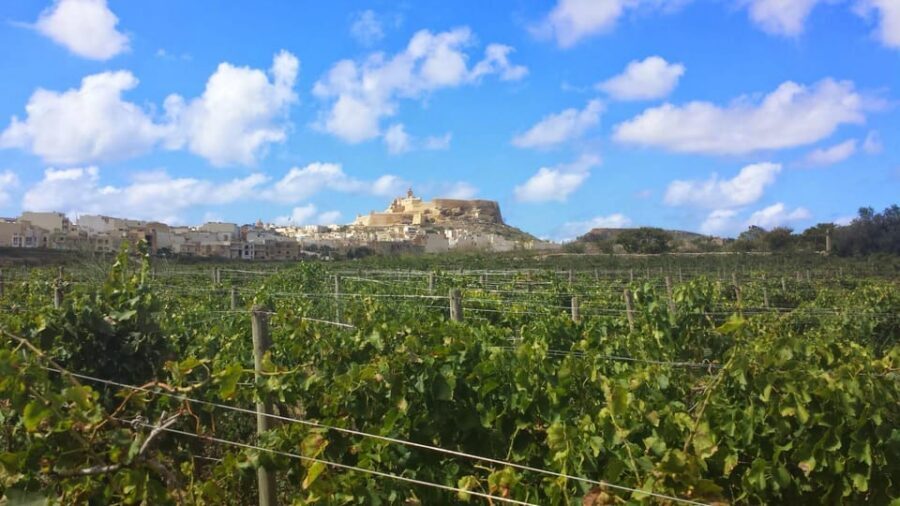 Gozo Victoria Walking Tour - Finding the tour start at St Francis Square (and not wandering)