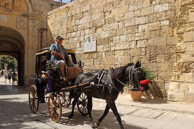 Half Day Shared Tour in Malta - Blue Grotto Il-Hnejja: Optional Boat Time and What to Bring