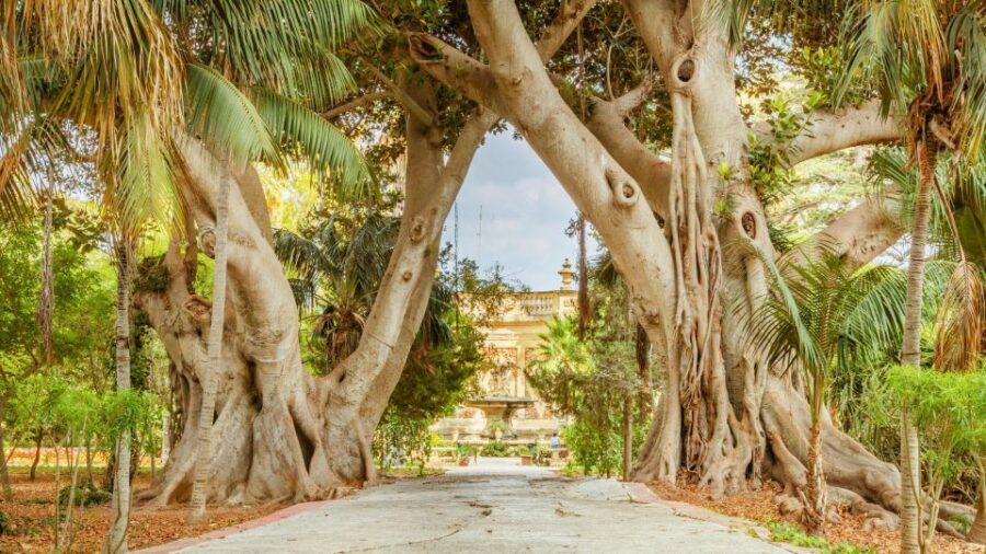 Highlights of Malta Tour:Icons and Experiences of the Island - Price and value: what $294 per group really buys