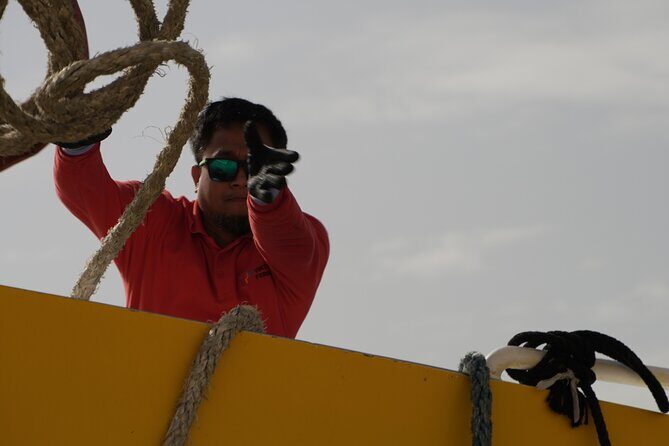 Highspeed Catamaran Crossing Between Malta and Gozo - Price and value: what you’re really paying for at about $8.73