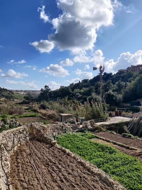 Island of Gozo: Private Tour - Why the driver’s style matters as much as the route