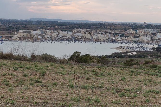 Let's Explore the Maltese Islands! (Half Day Private Group) - Timing, Timing, Timing: Make the Sea Part Count
