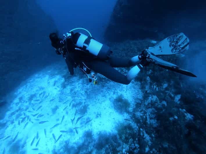 Malta: 2 Scuba Fun Dives for Certified divers - Key Things That Make This Malta Scuba Day Worth It