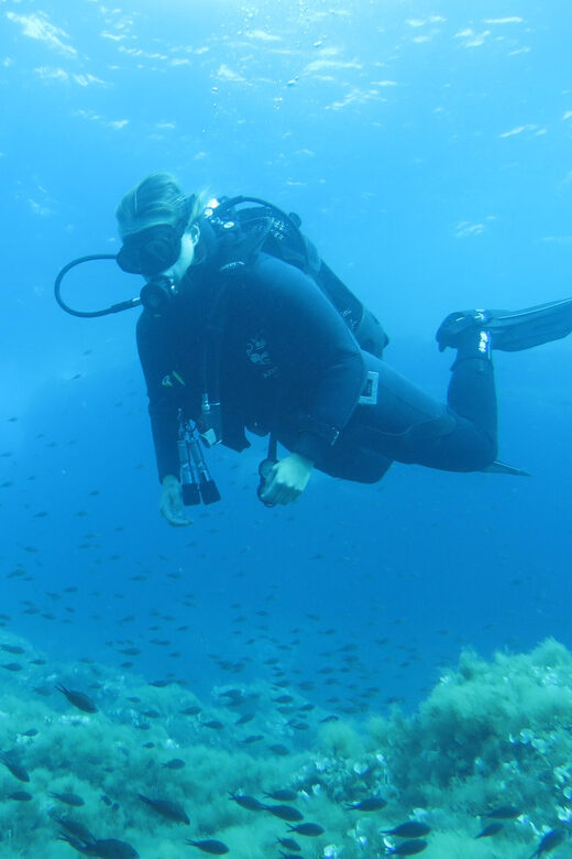 Malta: 2 Scuba Fun Dives for Certified divers - Transport, Grouping, and Instructor Style: Why It Feels Low-Stress
