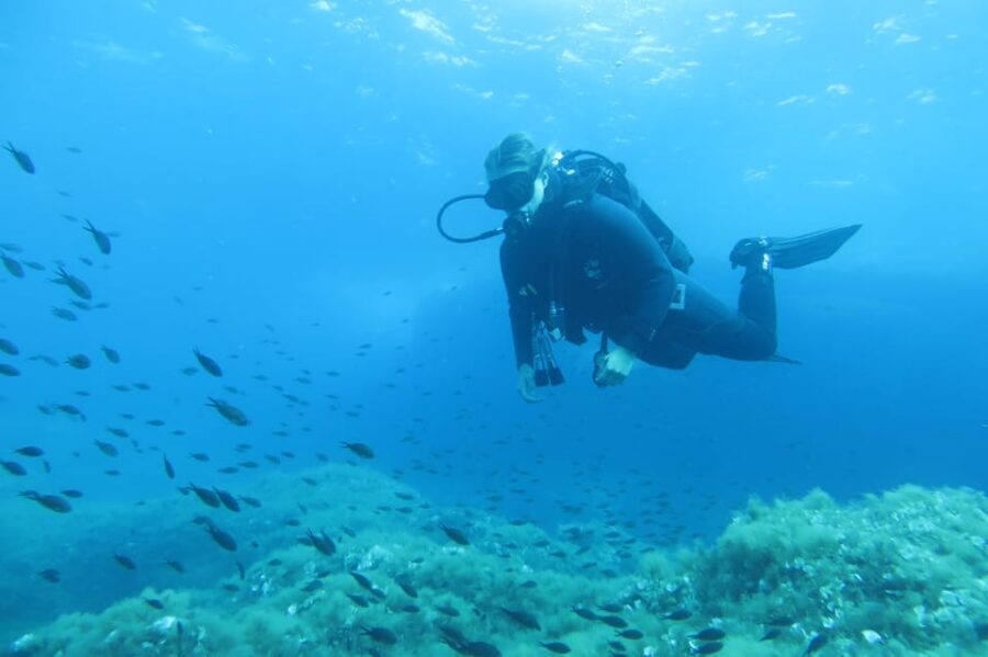 Malta: 2 Scuba Fun Dives for Certified divers - What You’ll See: WW2 Wrecks, Reefs, Caves, Tunnels, and Film Sites