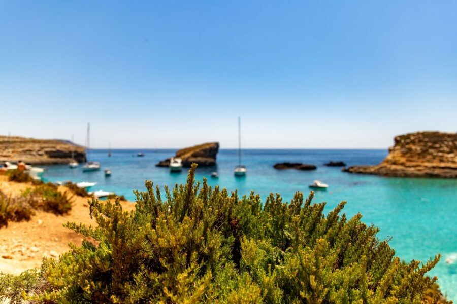 Malta: Blue Lagoon, Comino & St Paul's Islands Cruise - Key highlights worth aiming for
