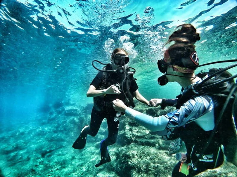 Malta: First Experience Scuba Diving Lesson - Key Highlights You’ll Care About