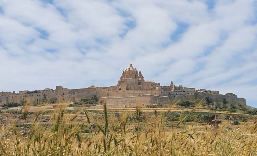 Malta: Mdina and Rabat Tour with Local Guide - Price, pacing, and what to bring for a smooth 2.5-hour walk