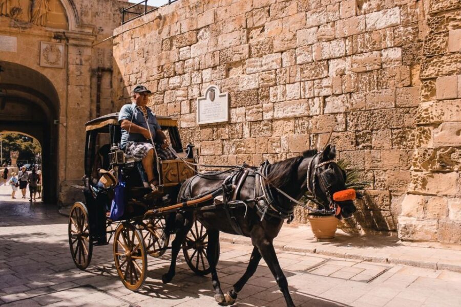 Malta: Mdina, Dingli Cliffs and San Anton Botanical Gardens - Pickup, Transport, and the One Rule You Shouldn’t Ignore