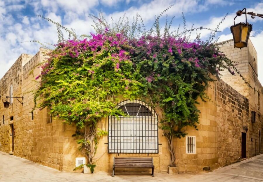 Malta: Mdina, Dingli Cliffs and San Anton Botanical Gardens - Is This Tour Good Value for $41?