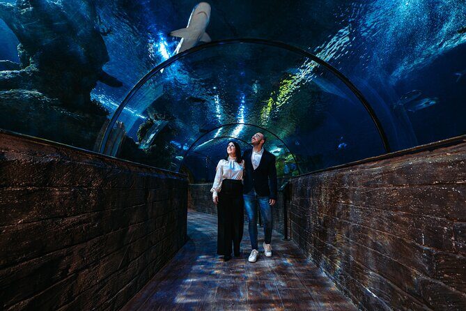 Malta National Aquarium Entrance Ticket - Sharks, Rays, and Eels: The Exhibits to Prioritize