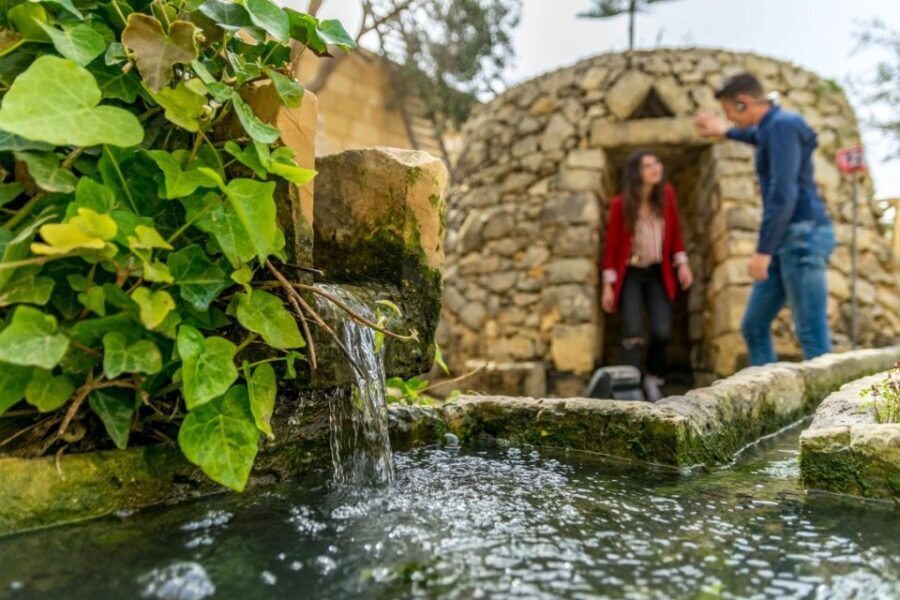 Malta: Prehistoric Temples, Limestone Heritage & Blue Grotto - Price and Logistics: what your $41 gets you