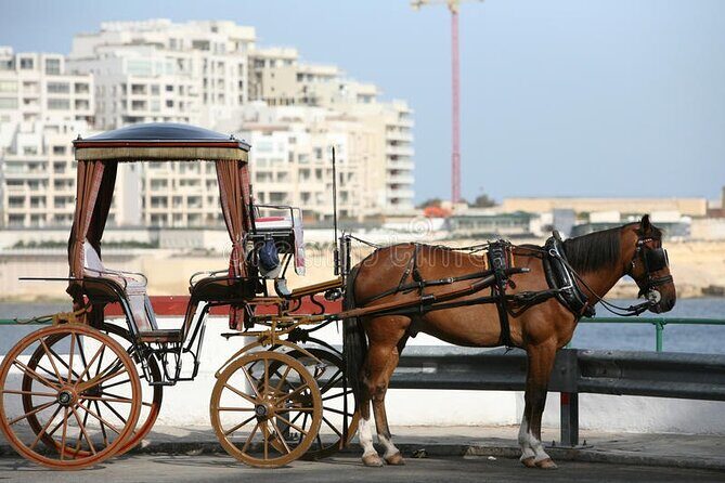 Malta Private tour: 5hr Mosta Dome, Mdina, Dingli Cliff's & Blue Grotto - Van comfort and driver style: why this feels more personal