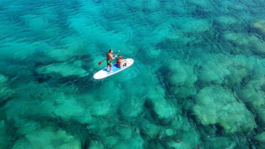 Malta: SUP Rental - Key Highlights Worth Planning Around