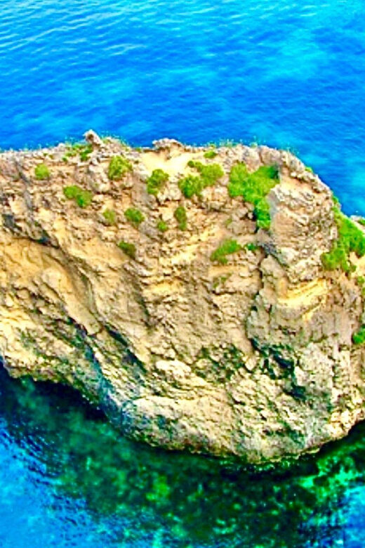 Malta’s Splendour Excursion - Trips in Blue Grotto & Comino - Cliff-jumps and “try it if you want” moments