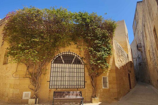 Mdina and Rabat Tour with a local licensed guide - Price and Value: Is $66.26 Worth It?