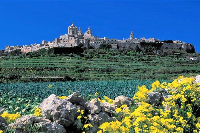 Mdina, Dingli cliffs and San Anton Gardens guided tour - Stop 3: San Anton Gardens for about 30 minutes near the Presidential Palace