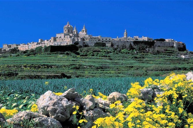 Mdina, Rabat, Dingli cliffs, San Anton gardens, Ta' Qali & Mosta guided tour - Key things to know before you go
