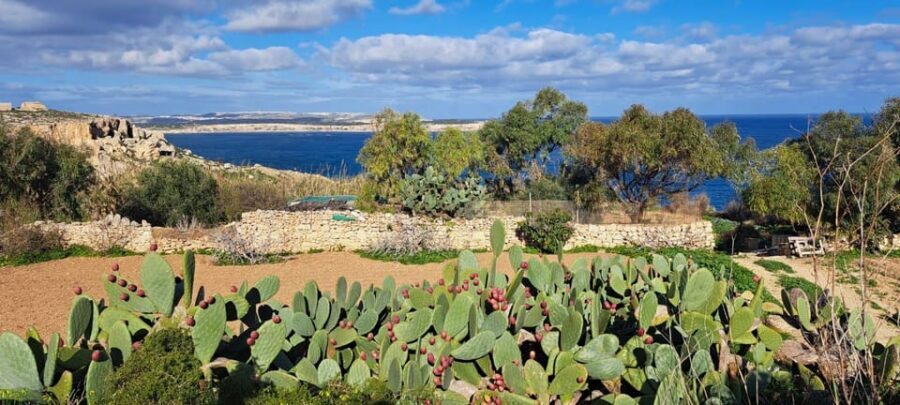 North Malta: Quad Bike Tour with Scenic Land, Sea & Swimming - White Tower Bay, the Chapel, and cliff-edge viewpoints near l-Ahrax tal-Mellieha