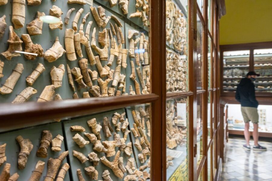 Prehistoric Temples of Malta Tour - Why Hagar Qim and Mnajdra are worth your morning