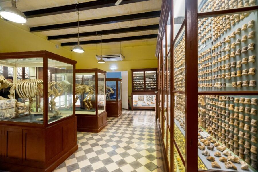 Prehistoric Temples of Malta Tour - Who should book this tour, and who might prefer something else