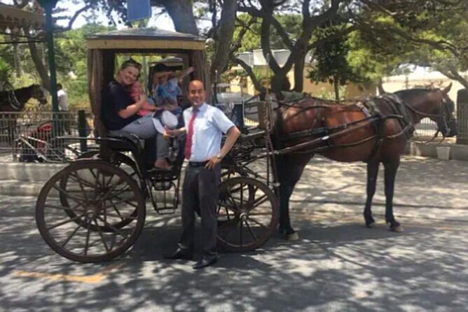 Private Chauffeur Island Tour of Malta and Gozo - Price and what your money covers at $174.93 per person