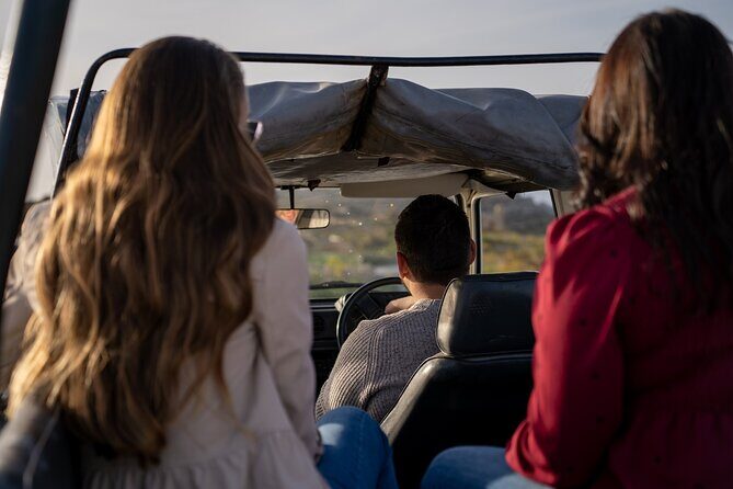 Private UTV Tour in Gozo (Full Day) - Private UTV in Gozo: the day plan that keeps moving (in a good way)