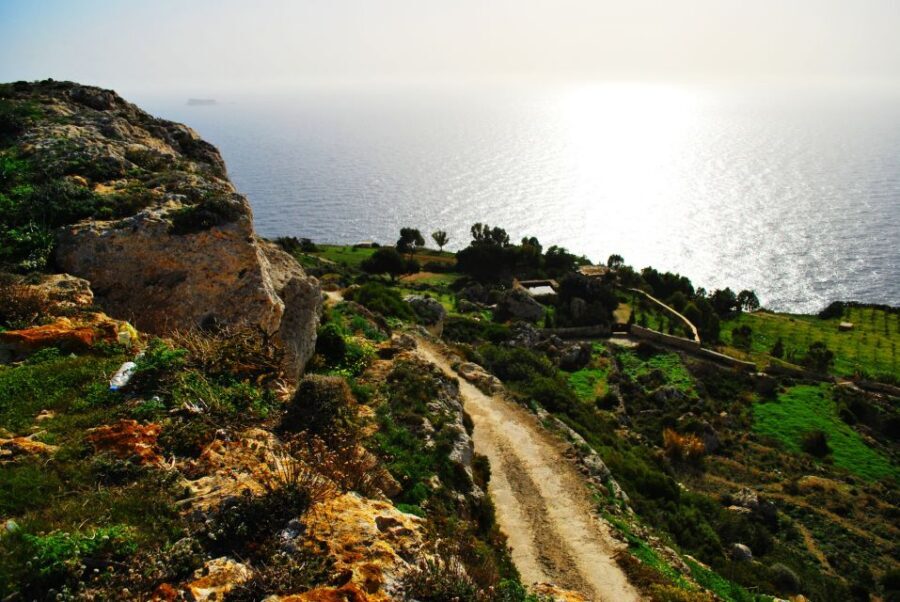 Scenic Tour by Vintage Bus to Buskett Garden & Dingli Cliffs - A 1928-Style Vintage Bus Tour Through Malta’s Most Photogenic Stops
