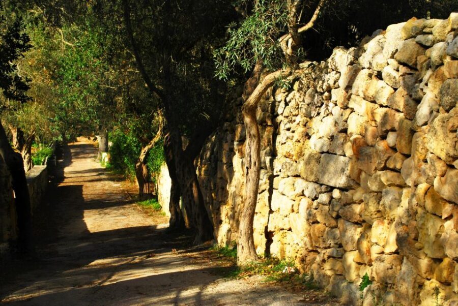 Scenic Tour by Vintage Bus to Buskett Garden & Dingli Cliffs - Dingli Cliffs and St. Mary Magdalene: Highest Point Views Toward Filfla