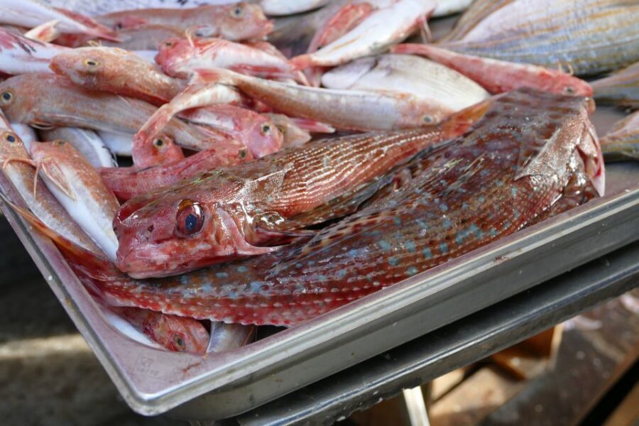 Southern Malta: Blue Grotto, Hagar Qim, and Marsaxlokk Tour - Marsaxlokk Fishing Village: Luzzu Boats and Real Malta Food
