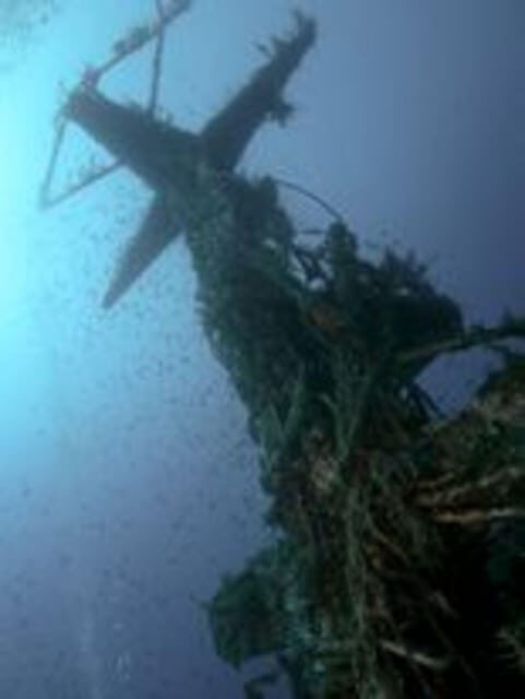 St Julians: Discover Scuba Diving Experience - Gear up without guessing: what you’ll learn before you go under