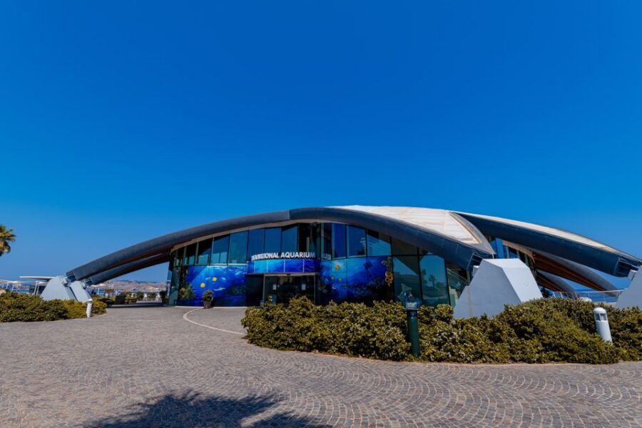 St Paul's Bay: Malta National Aquarium Entry Ticket - Entering the starfish-shaped aquarium in St Paul’s Bay