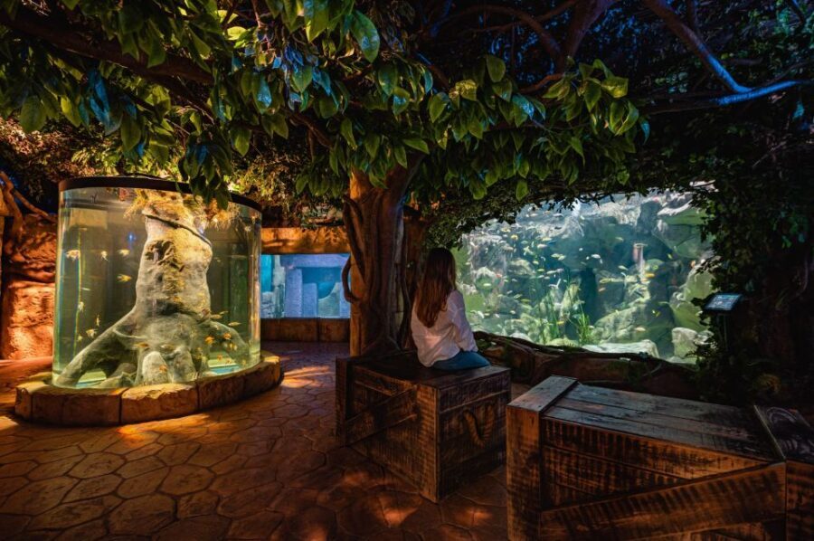 St Paul's Bay: Malta National Aquarium Entry Ticket - Malta history-themed habitats and the upstairs Malta floor